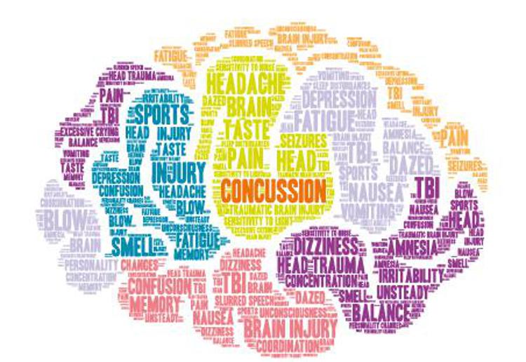 Salute: sportivi e concussione, workshop per diagnosi e cure ad hoc