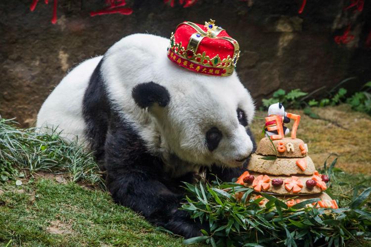 Basi con torta e corona nel giorno del suo 37esimo compleanno (Foto Afp) - AFP