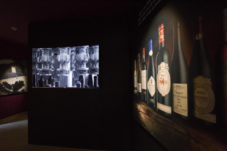 Vino: nasce il 'Masi wine discovery museum', percorso tra storia ed emozione