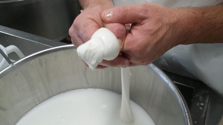 Alimenti: da masticatori a consumatori consapevoli con 'latte 4.0'