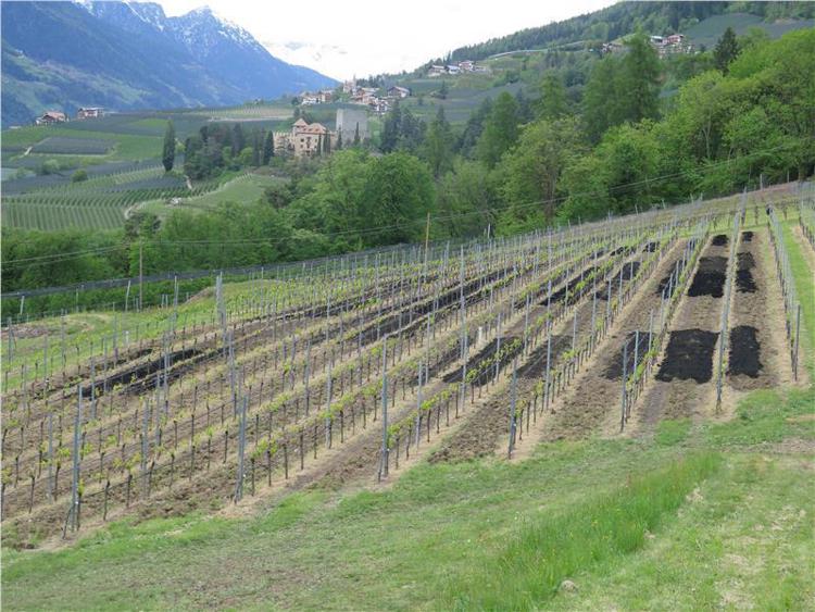 Energia: a Bolzano si sperimenta riutilizzo del carbone di legna