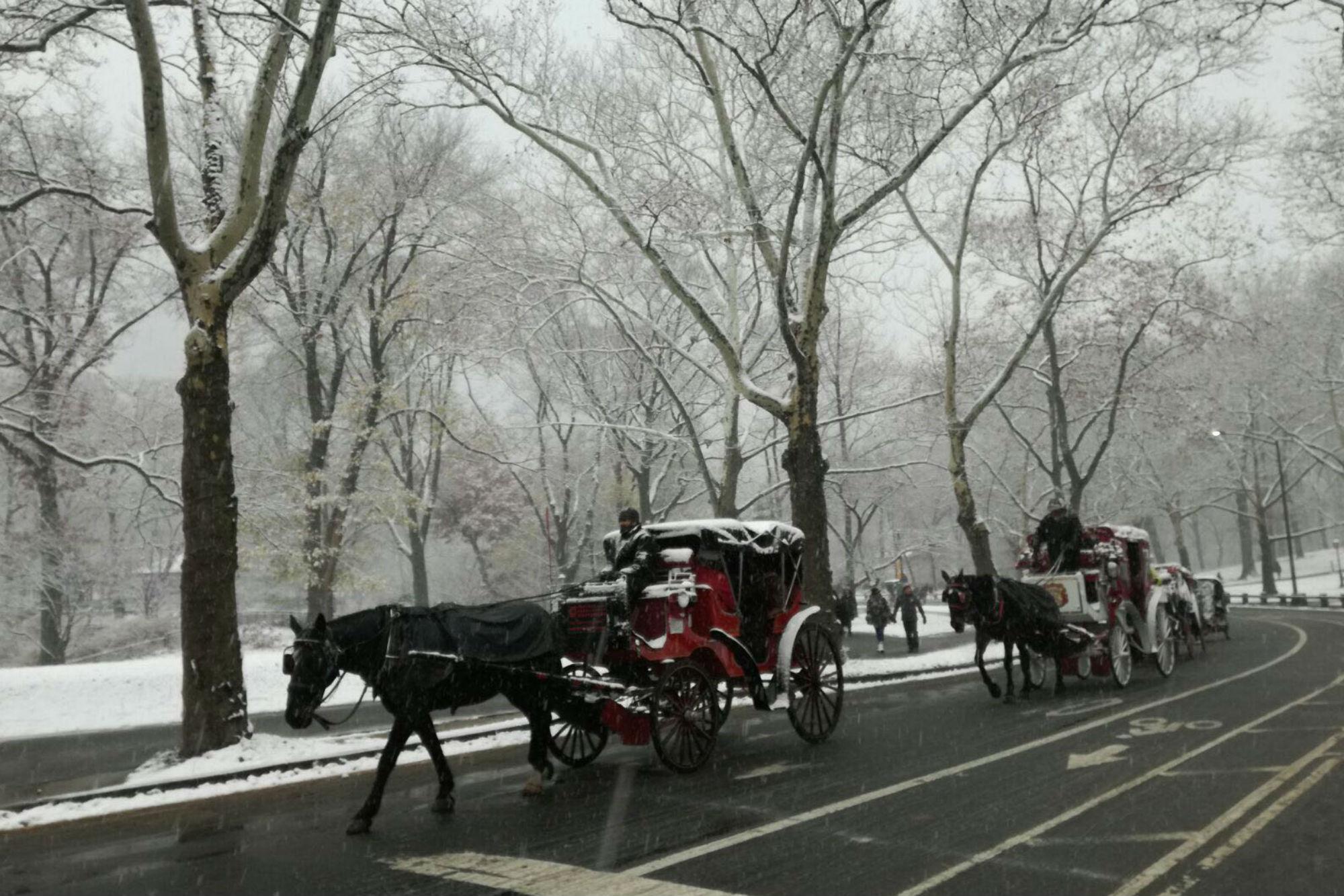 Central Park sotto la neve (Foto Valter Chiappa)