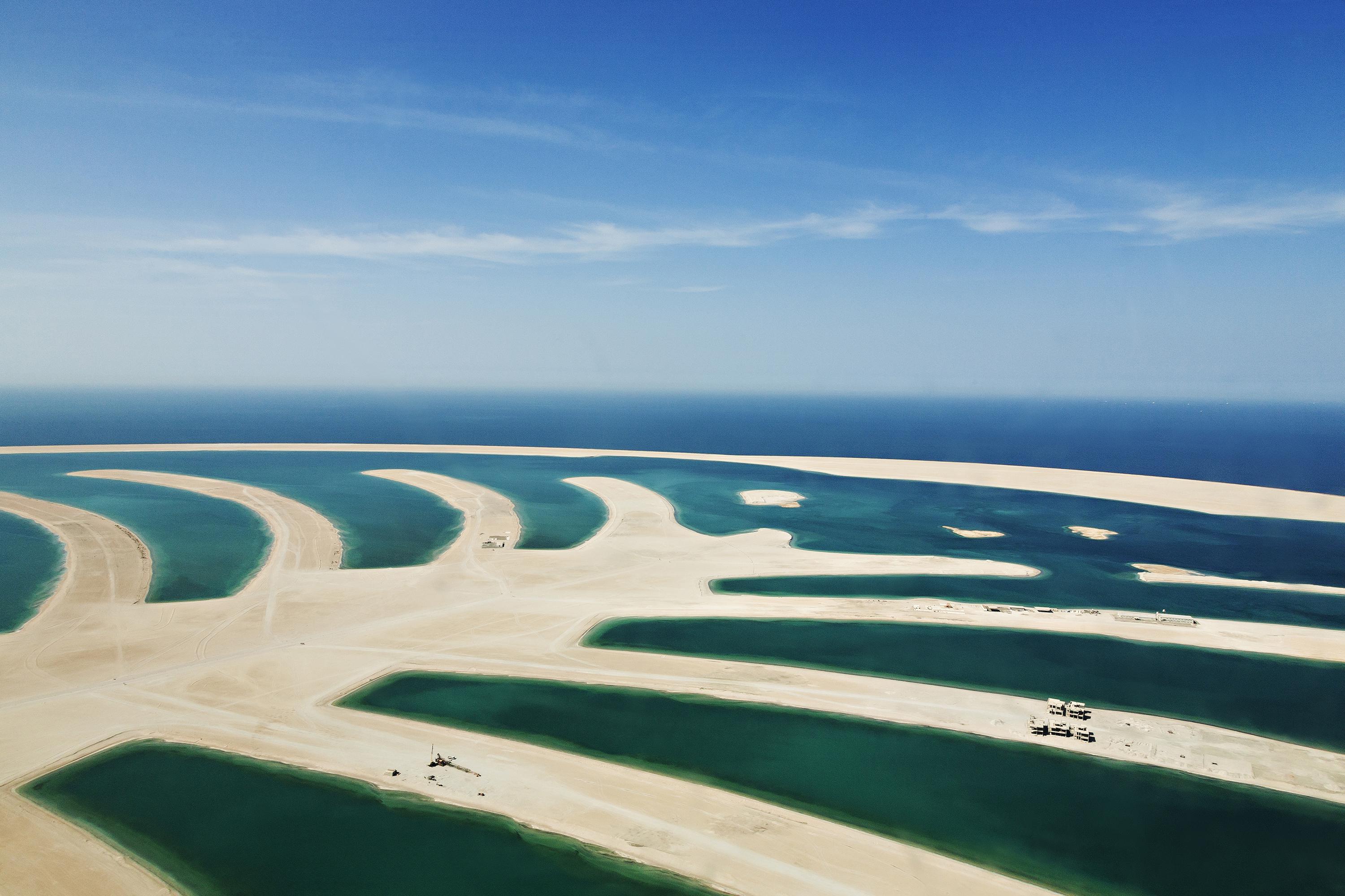          Tor Seidel, The Unfinished Island Palm Deira (©Syngenta Photography Award)