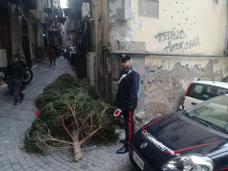 Napoli, ritrovato l'albero di Natale rubato