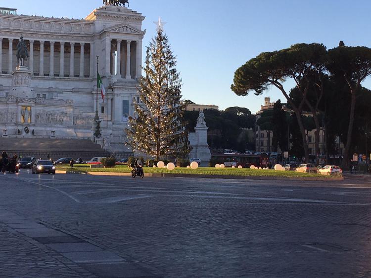 Roma: 5 cose da sapere su 'Spelacchio', l’albero più discusso del Natale 2017