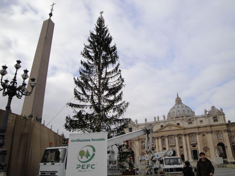 Natale: a Roma e Milano alberi certificati Pefc per San Pietro e Piazza Duomo