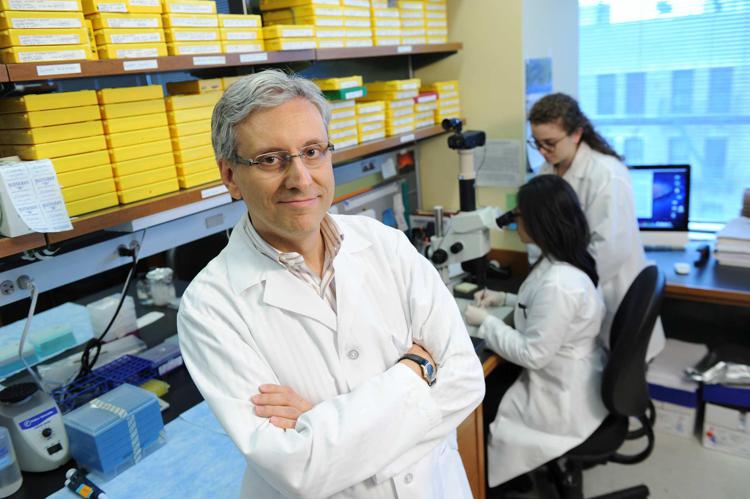 Dalle scoperte di Antonio Iavarone, scienziato italiano in Usa, nati trial clinici per pazienti con glioblastoma