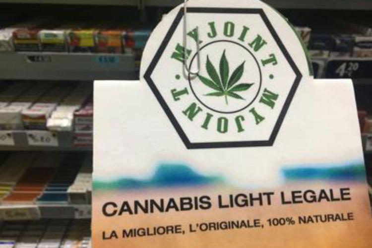 Cos'è la cannabis light