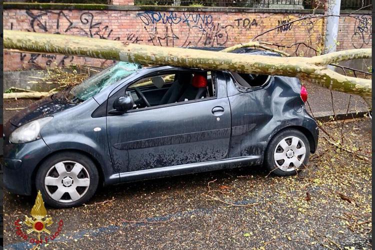 Roma, albero crolla su auto