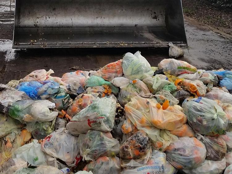 Rifiuti: sempre più plastica nell'organico, Paesi Ue a confronto