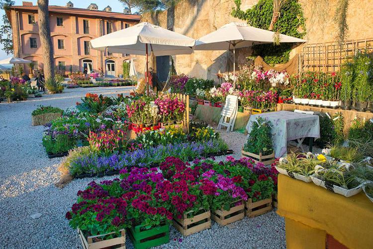 Dal 20 al 22 aprile ritorna ai Casali del Pino 'FloraCult', la mostra mercato di florovivaismo amatoriale ideat a da Ilaria Venturini Fendi
