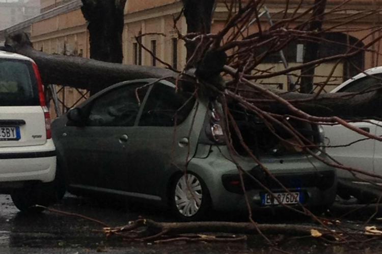 Roma: auto colpita da un albero anche a via Pacinotti (AdnKronos) 