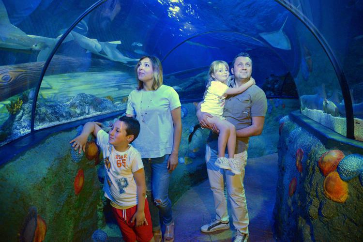 Gardaland Sea Life Aquarium compie dieci anni