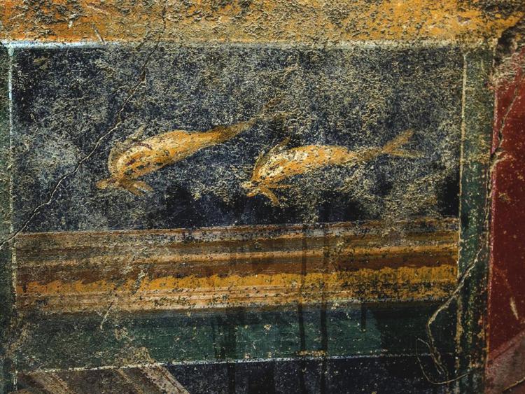 L'affresco con due delfini nella domus in corso di scavo a Pompei