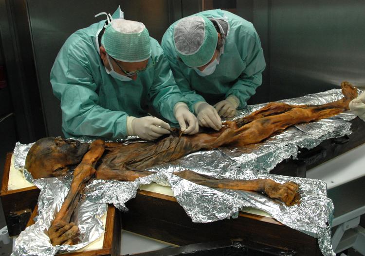 Ötzi The Iceman e i ricercatori al lavoro/ Southtyrolarchaeologymuseum\Eurac\M.Samadelli - Southtyrolarchaeologymuseum\Eurac\M.Samadelli