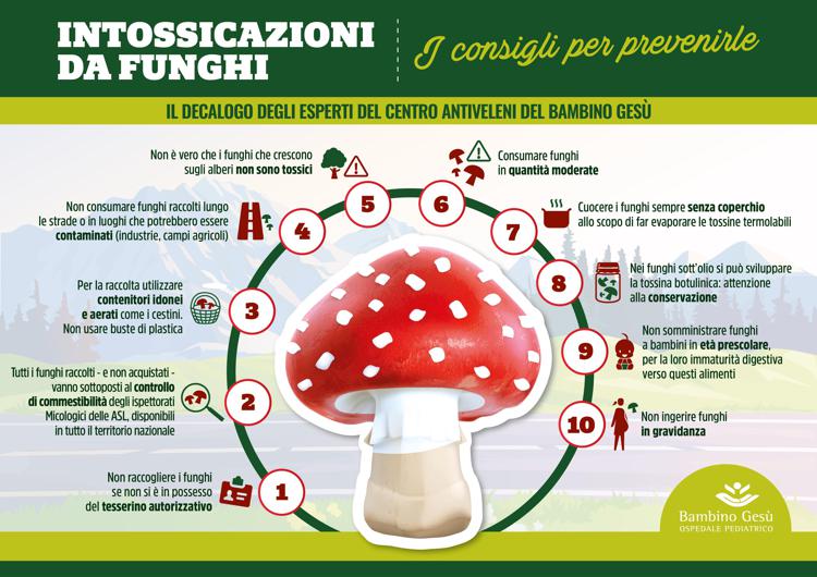 Funghi pericolosi, 10 regole per mangiarli in sicurezza