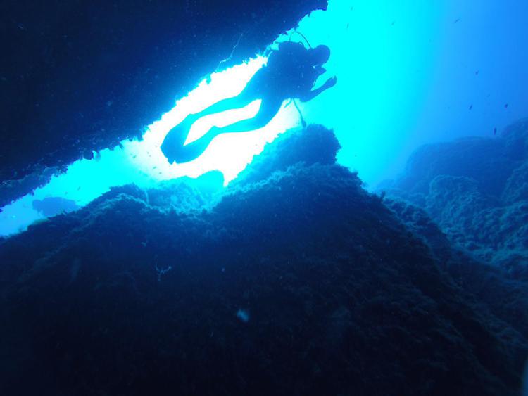 Sub in immersione/Foto Adnkronos Salute - Margherita Lopes/Adnkronos Salute