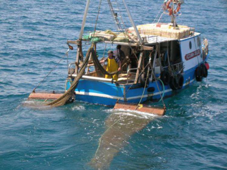 Fishing trawlers seized off Libya 'heading home' - Conte