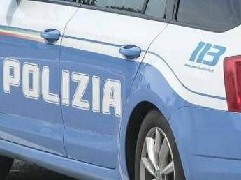 Polizia stradale (Fotogramma)