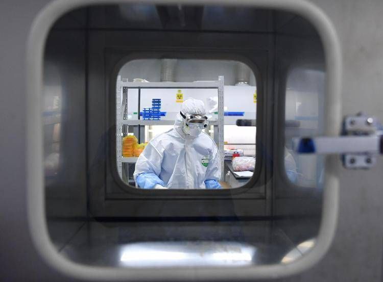 Covid e fuga virus da laboratorio, Usa rilanciano ipotesi 6 alternate text