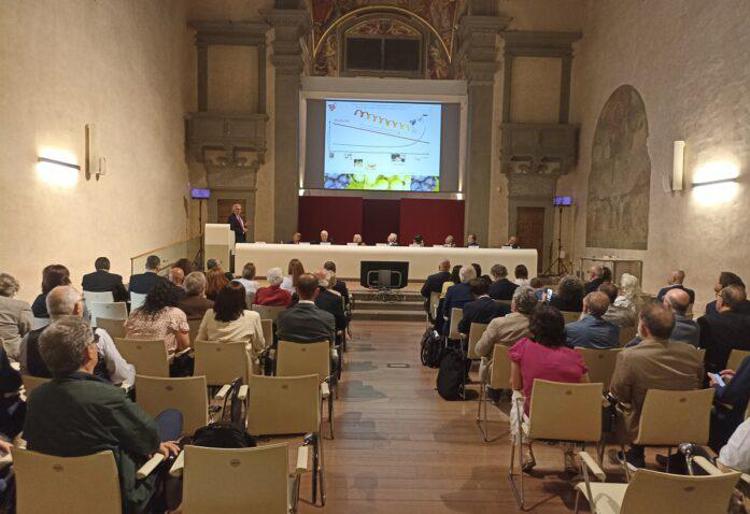 Viticoltura italiana: senza strategie si perde il valore di uno dei comparti economici più importanti per il Made in Italy