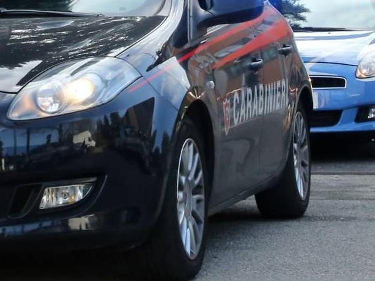 Auto di carabinieri e polizia (Fotogramma)