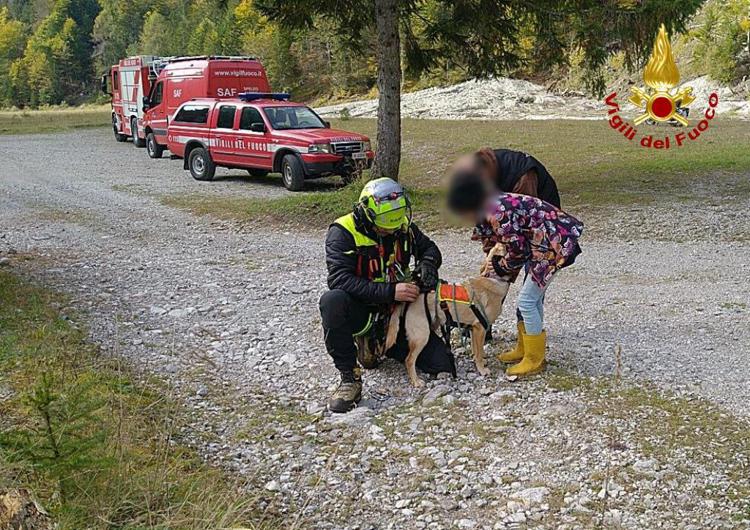Vigili del fuoco in elicottero salvano cane in un dirupo a Pordenone
