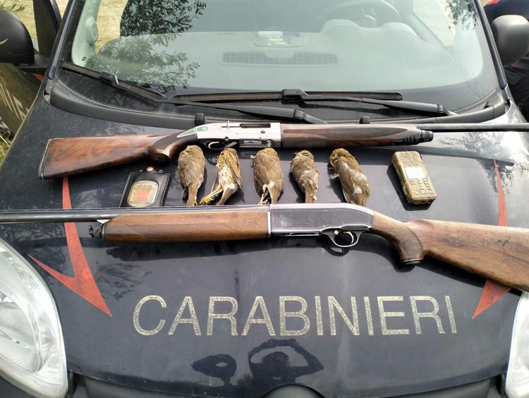 Bracconaggio:14 denunciati, sequestri e sanzioni per caccia illegale. Guardie LIPU e Carabinieri forestali in azione in provincia di Roma