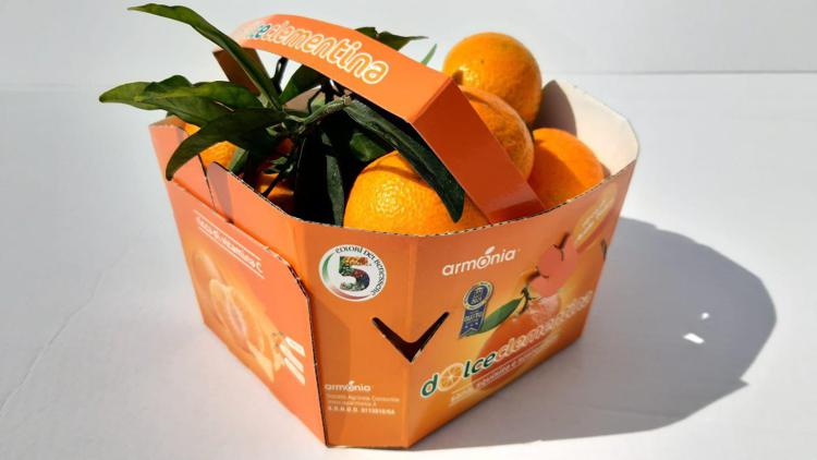 Agroalimentare: debutta sul mercato 'Perrina', nuova clementina tardiva made in Italy