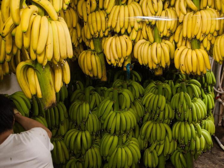 Banane appese - (Xinhua)