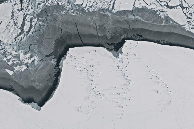 Ghiaccio in Antartide - Fotogramma /Ipa