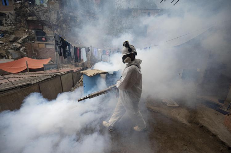 Disinfestazione per la Dengue - (Afp)