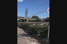 Parma, scontro fra treni: due feriti e linea ferroviaria interrotta - Video