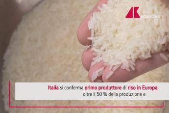 Italia primo produttore di riso in Europa, salgono le esportazioni