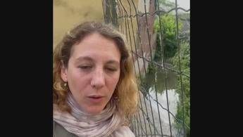Garlasco, dove viene cercata l’arma del delitto: videonews dalla nostra inviata