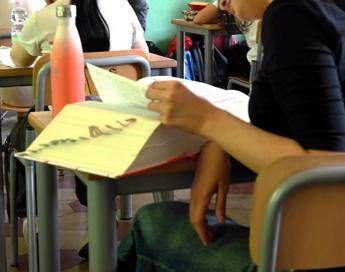 Uso del dizionario a scuola (Fotogramma/Ipa)