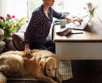 Donna lavora con un cane vicino - (123 RF)