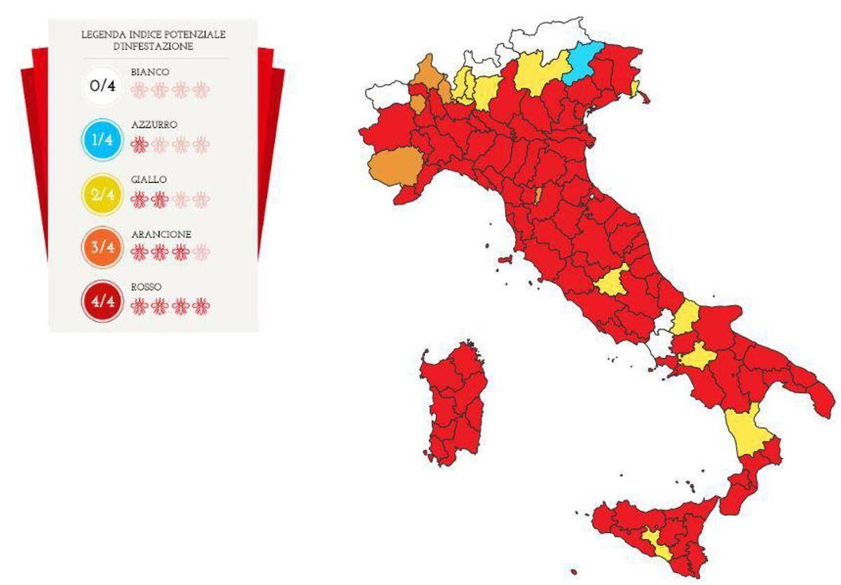 Caldo, aumenta la presenza di Zanzare tigre nelle Marche Caldo, aumenta la presenza di Zanzare tigre nelle Marche