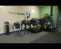 'Spot' il cane robot di Google