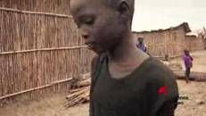 Un’orchidea contro lo sfruttamento dei bambini