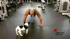 I piegamenti delle star di Hollywood per i veterani, la sfida scatta sui social