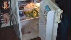 Orrore a Latina, decine di centri migranti lager