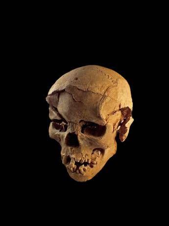Il massacro preistorico che fa luce sull'origine della guerra Il massacro preistorico che fa luce sull'origine della guerra