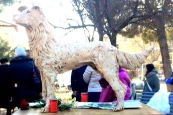 A Roma una statua per Angelo, il cane torturato in Calabria A Roma una statua per Angelo, il cane torturato in Calabria