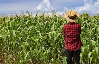 Cia, in agricoltura redditi giù dell'8% è urgente intervenire Cia, in agricoltura redditi giù dell'8% è urgente intervenire