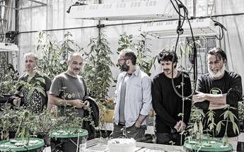 Da Sinigallia a Cosma, i Deproducers tornano insieme con 'Botanica' Da Sinigallia a Cosma, i Deproducers tornano insieme con 'Botanica'