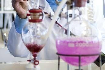 Elisir lunga vita, 400 farmaci allo studio contro l'invecchiamento Elisir lunga vita, 400 farmaci allo studio contro l'invecchiamento