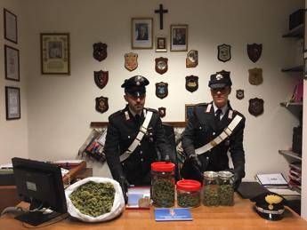Coltiva marijuana in casa, sequestrate 6mila dosi a Roma Coltiva marijuana in casa, sequestrate 6mila dosi a Roma