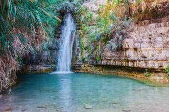 Nasce la Guida inclusiva, garantirà l'accessibilità alle aree naturali Nasce la Guida inclusiva, garantirà l'accessibilità alle aree naturali