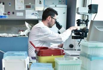 Alzheimer, eccezionale scoperta Alzheimer, eccezionale scoperta
